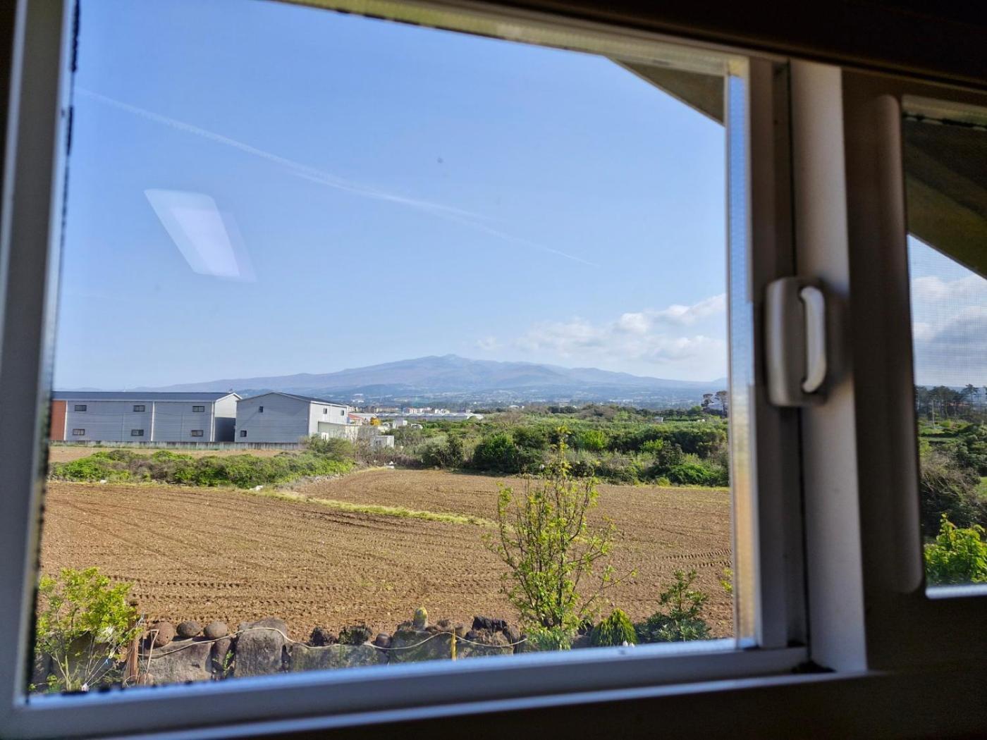 Tree House Guesthouse Jeju Exterior foto